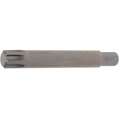 Antgalis | ilgis 100 mm | 10 mm (3/8") | Spline (RIBE) M14 (4780)